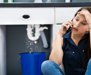 About Sewer Line Pros Williams Bay, WI